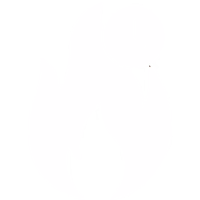 Longue combustion